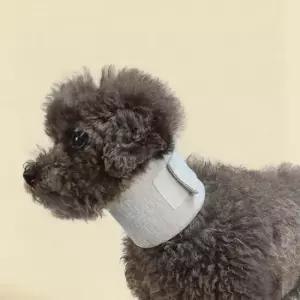 [반려패션] 핥기방지 고양이 강아지 목쿠션 목토시 목보호대
