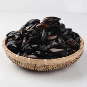 자연산 제철 싱싱한 홍합 5kg