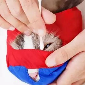 고양이 마스크 입마개 목욕 여행용 입커버