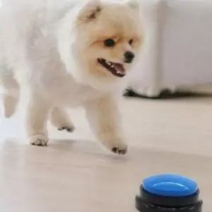잔솔 강아지 말하는 버튼 녹음벨 훈련벨 고양이 훈련