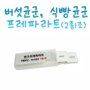 현미경 관찰용 영구 프레파라트 2종 버섯균 식빵균 곰팡이실험 교과연계 자기주도학습 수업자료