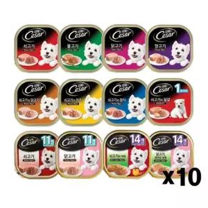 강아지간식 시저캔 100g X10개 애견 통조림간식 습식 주식캔 영양 강아지캔