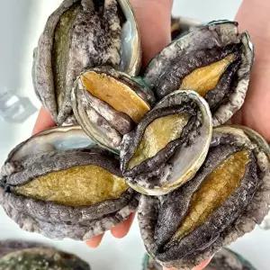 완도 신선 활전복1kg(8-9미)+손질세척솔 증정