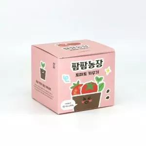 방울토마토 모종 화분 식물 키우기 교육자료 유치원 어린이집 체험 미니텃