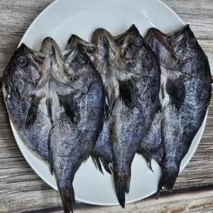 반건조 우럭 9미