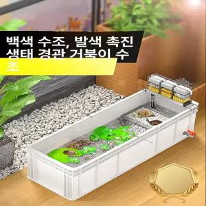 거북이 수조 반수생 양서류 수족관 집 오픈 어항
