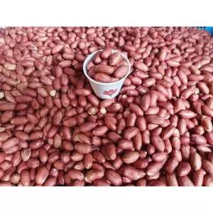 국산 볶은땅콩 1kg 주문 후 바로 볶아 발송 해드립니다. 볶음정도 조절 가능