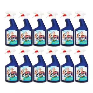 엘지 홈스타 맥스 프레쉬 욕실용 세정제 라임바질향 750mL x 12개