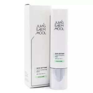 정샘물 스킨 세팅 톤 코렉팅 베이스 40ml