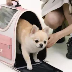 고양이 이동가방 반려동물 강아지용품 방수 반려견가방 백팩