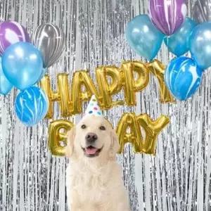 [반려패션] 1P 생일 장식 이벤트 커튼형 세트 강아지 파티 풍선