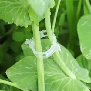 [룽스_65]식물 식물고정 재배 오이 토마토 고정 타이 10P