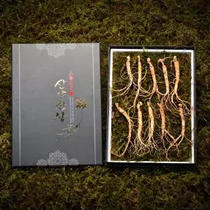 [고급선물포장]심봤다 삼 산양산삼 산양삼 장뇌삼 선물세트 10뿌리