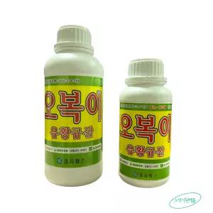 오복이 유황규산 1L 친환경 병해관리 비료 영양제 수용성 코시팜스