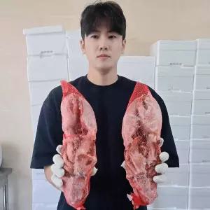 자이언트 킹 자숙 랍스터 2마리 1300G 내외 냉동 킹 랍스타