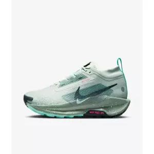 [Nike 국내매장판] 나이키 페가수스 트레일 5 고어텍스 남성 워터프루프 러닝화 FQ0908-013