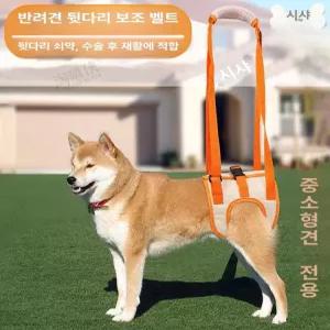 강아지 하네스 뒷다리 십자 오렌지 반려견 대형견용 관절