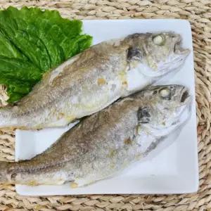 담백한 생조기 생물 백조기 2kg