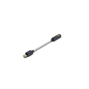 iFi GO link 2 휴대용 DAC 헤드폰 앰프 USB-C to 3.5mm