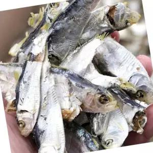 국산 디포리 국물용 육수용 밴댕이 1.5kg 1박스 건멸치 다시용