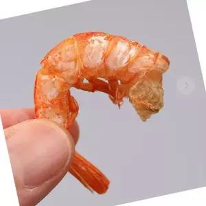 건새우 두절 새우 200g 2봉 육수 반찬 요리재료
