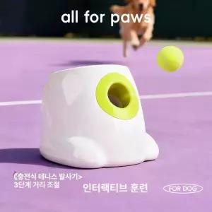 강아지 자동 공놀이 볼 어질리티 서브머신 움직이는 기계
