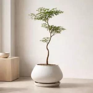 빈티지 경량 FRP 화분 20x18cm 낮은분재