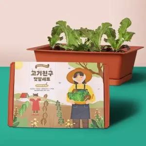 고품질 (꿈쟁이) 고기친구키우기세트(물받침대포함) 가드닝 실내텃밭 (W89ACC6)