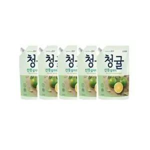 참그린 청귤 1kg 리필 5개입 라이온코리아 주방세제 1kg 리필 리필용 (W8E6E61)