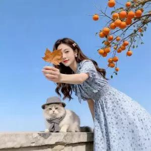 치마 원피스 여자 쉬폰 생 프렌치풍 브이넥 예쁜 플레어 라이트 소매 SPO마켓1