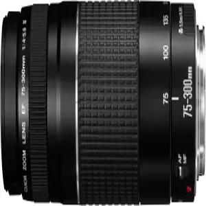 캐논 EF 75300mm f/456 III 망원 줌 렌즈(블랙)