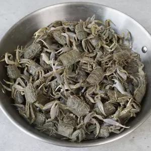 국내산 생물 / 냉동 칠게 500g 1kg