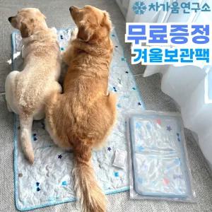 [무독성 냉각젤100%] 차가움연구소 시원한 강아지 애견 쿨매트 쿨젤매트 겨울보관팩 세트