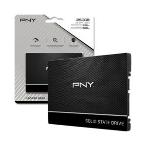 PNY CS900 제이씨현 250GB 6.4cm SSD