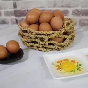 당일산란한 싱싱한 계란 대란 90구(30구x3판)
