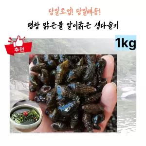 1급수 맑은물 당일조업 평창 영월 동강 생다슬기 국 찌개 무침 다양하게 활용