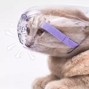 고양이 입마개 스크래치 물림방지 헤드기어 헬멧 통기성