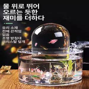 우파루파 엔젤피쉬 구피 해수 키우기 어항