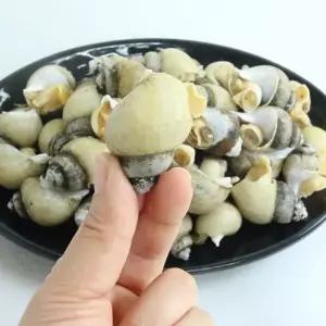 국내산 자숙 골뱅이 850g x 1팩