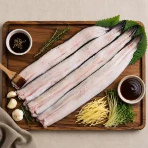 국내산 고창 자포니카 민물장어 1kg 손질 활장어