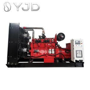 30kw 40kw 50kw 60kw 100kw 200kw 250kw 300kw 소형 바이오가스 발전기 판매 (바이오가스 정화 시스템 포함