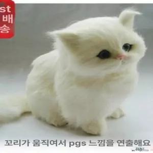 진짜같은 고양이 봉제 실제같은 장식품 모형 애착인형 카페 모찌 가짜 울음소리도 나고