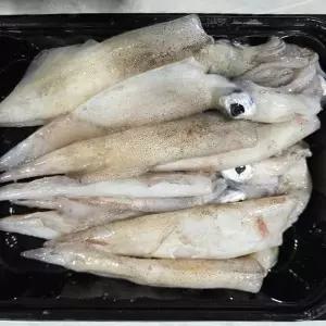 [장보리]국내산 제철 한치 생물 500g