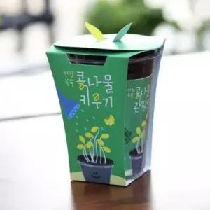 옥상 새싹키트 시루 관찰일지 재배 한컵쑥쑥 콩나물키우기