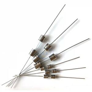 10pcs 3.6x10mm 느린 브레이크 유리 스트립 핀 퓨즈 F0.1A 0.2A 1A 2A 3A 3.15A 4 5 6.3 8 10 15