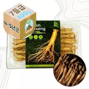 Gs-Fm 고려 생 인삼 4-5년근 수삼 7호 요리용 600g