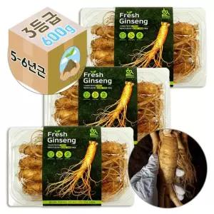 Gs-Fm 고려 생 인삼 수삼 5-6년근 3호 선물용 1800g
