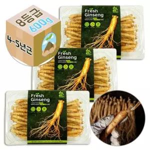Gs-Fm 4-5년근 고려 생 인삼 수삼 8호 요리용 1800g