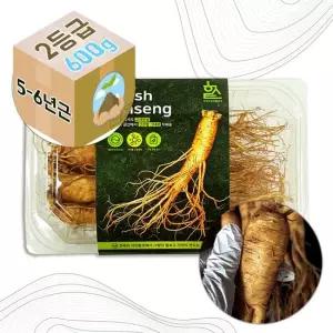 Gs-Fm 5-6년근 고려 인삼 생 수삼 2호 선물용 600g