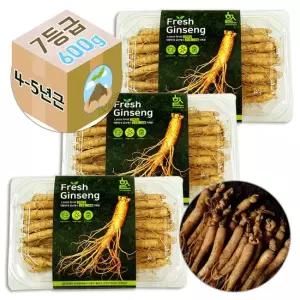 Gs-Fm 고려 생 인삼 4-5년근 수삼 7호 요리용 1800g